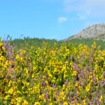 beautiful landscapes of Arouca Geopark in Portugal