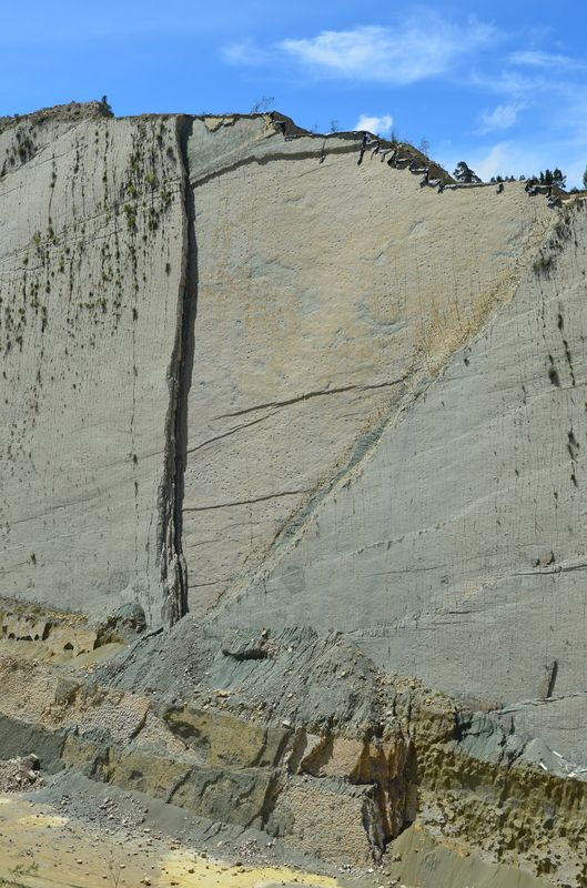 110 m tall limestone wall with dinosaur tracks