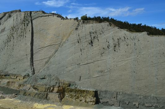 1500 m long limestone wall with dinosaur tracks