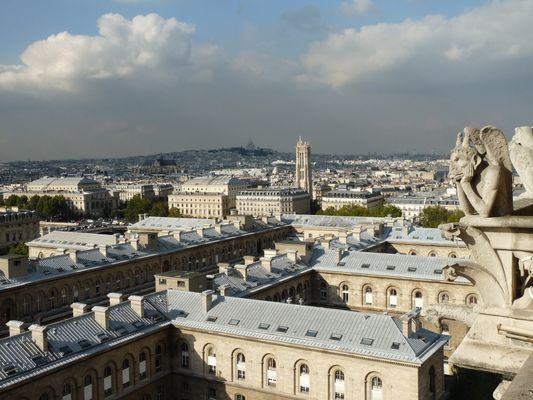 the view of Paris