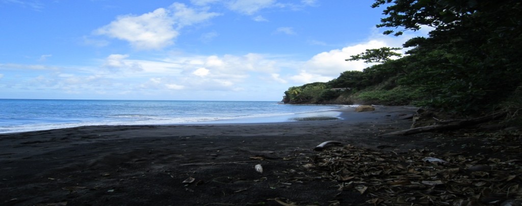 Woodlands Beach one of the turtle nesting sites