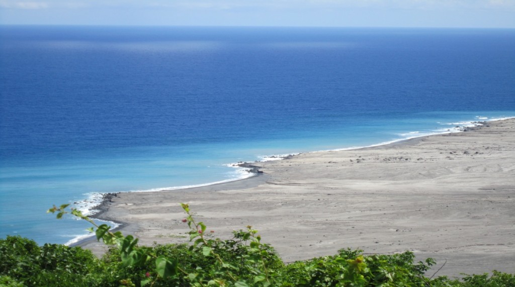 turtle conservation in Montserrat Caribbean East Coast