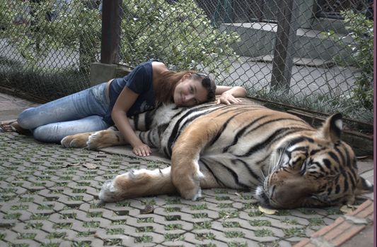 Alexandra playing with tigers in Thailand